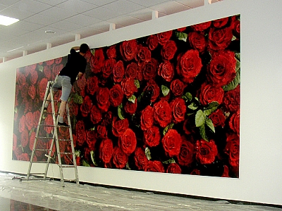 6_1573182589.jpg