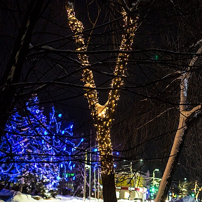 ukrashenie_dereviev_v_gorode_1572245356.jpg