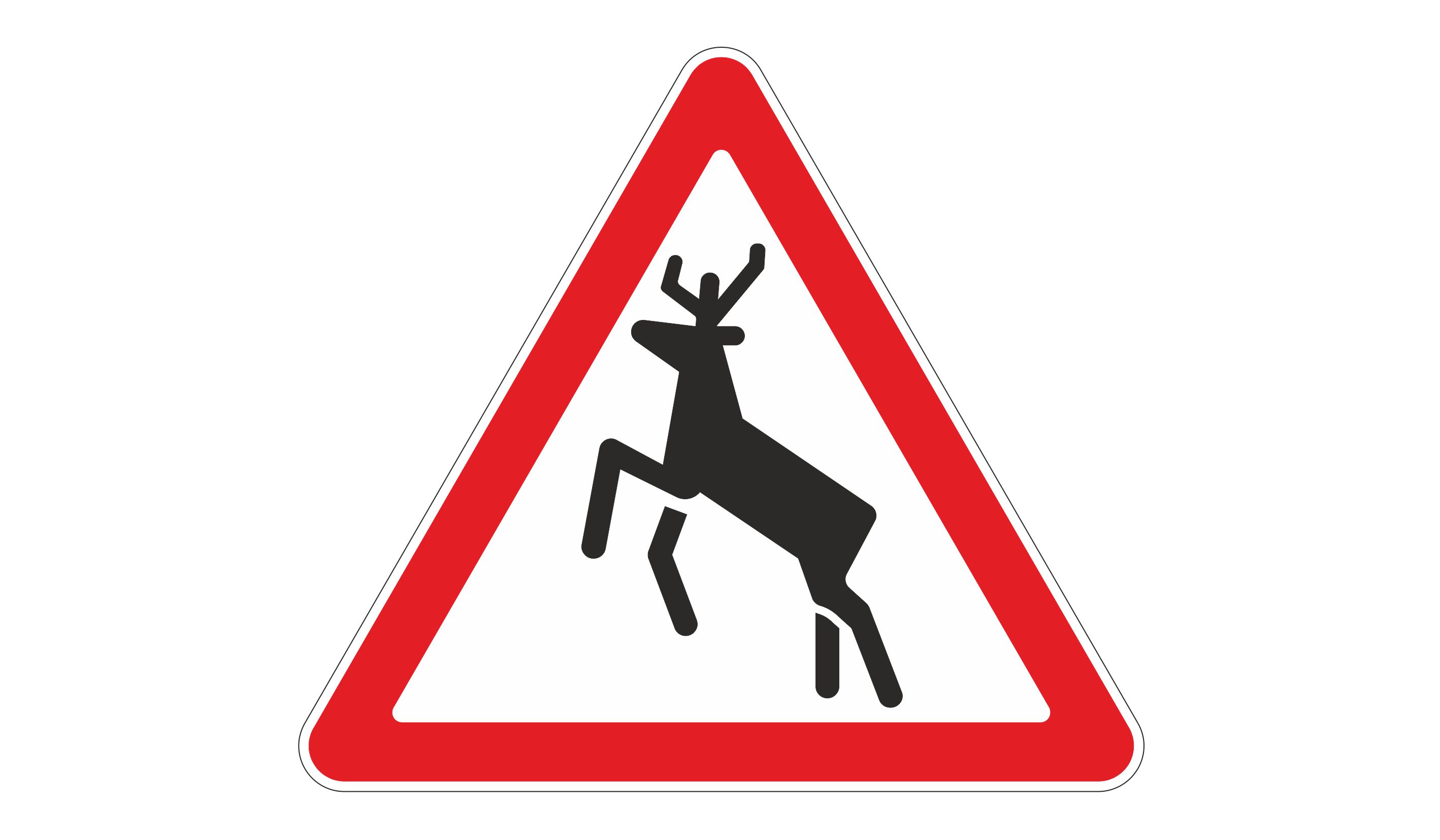 Осторожно олени. Дорожный знак олень. Знак Дикие животные на дороге. Знак осторожно Дикие животные. Знак осторожно олени.